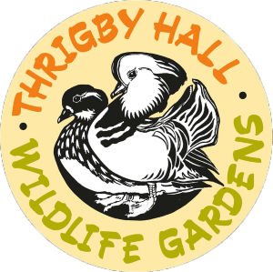 Thrigby Hall Gardens & Wildlife