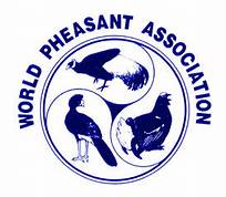 Word Pheasant Association